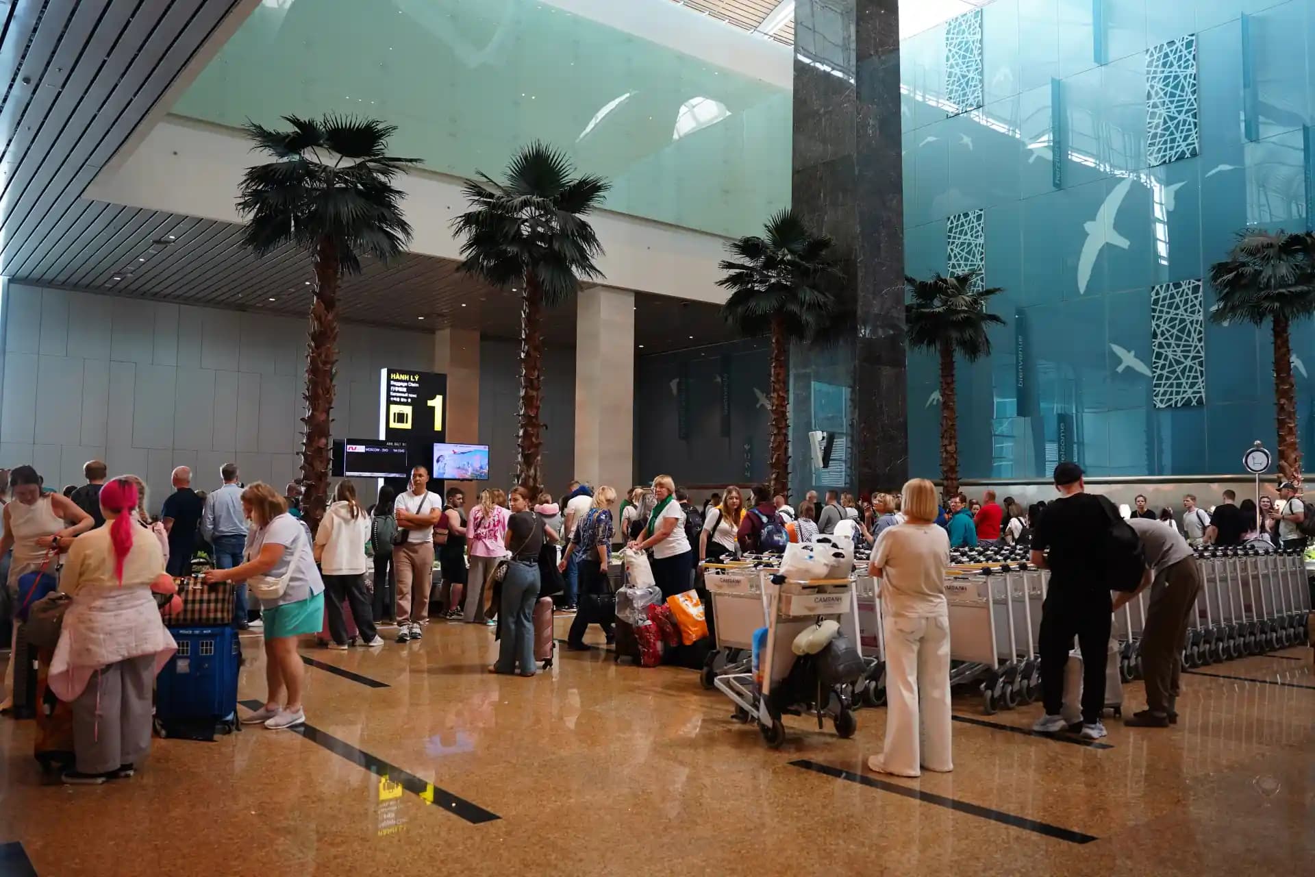 Baggage Claim