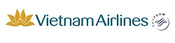 VN airline logo
